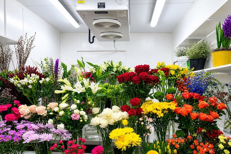 Un large éventail de fleurs fraîches de différentes couleurs, y compris des roses rouges, des lys blancs, des chrysanthèmes jaunes et des fleurs violettes, exposées dans une chambre froide bien éclairée.