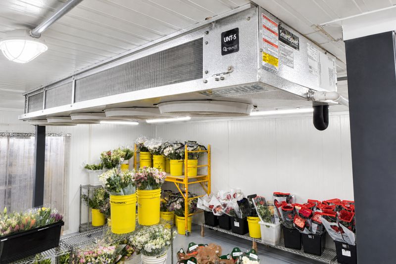 Salle froide avec système de réfrigération au plafond et diverses fleurs fraîches dans des seaux jaunes et noirs