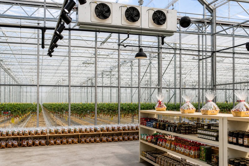 Intérieur d'une serre moderne avec des rangées de plantes, un système de ventilation au plafond et des étagères remplies de produits gastronomiques emballés.
